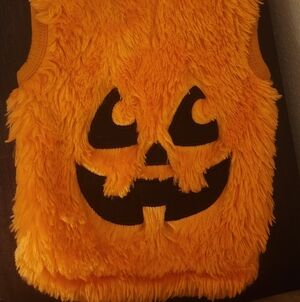 Dog Furry Pumpkin Costume Vest - Orange, Size Small